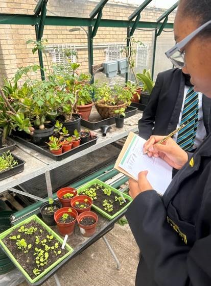 Students looking at their seedlings